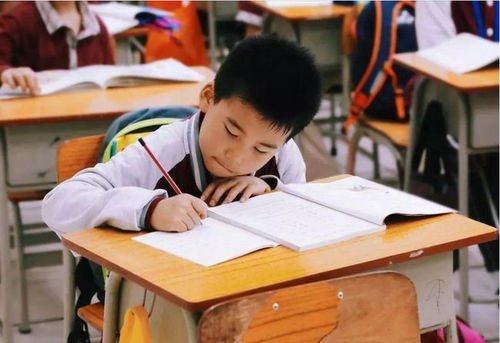 江蘇全面啟動課后服務與家庭教育咨詢，為家長減負解憂