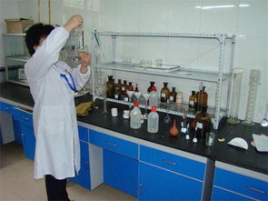 廣州優(yōu)質(zhì)食品級堿式碳酸鎂價格分析與技術(shù)推廣